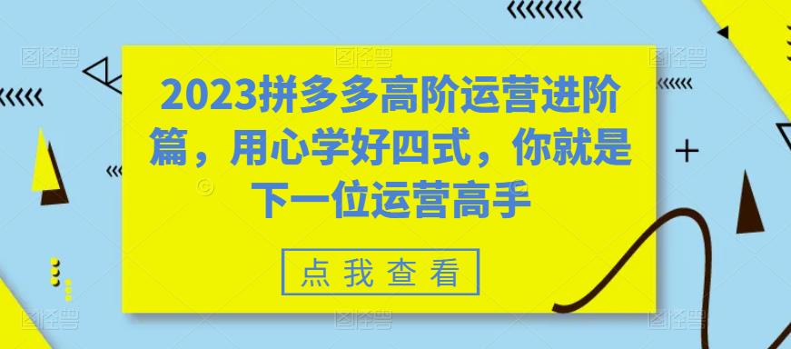 2023拼多多高阶运营进阶篇，用心学好四式，你就是下一位运营高手|优聚轻创