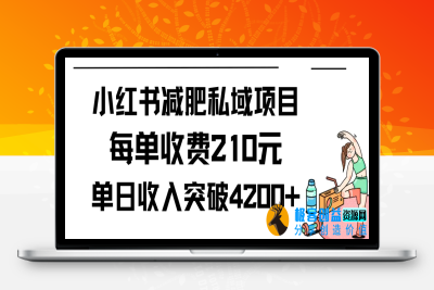 小红书减肥私域项目每单收费210元单日成交20单，最高日入4200+|优聚轻创