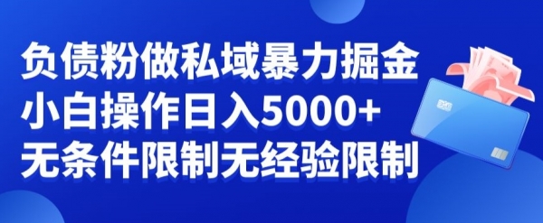 负债粉私域暴力掘金，小白操作入5000，无经验限制，无条件限制【揭秘】|优聚轻创