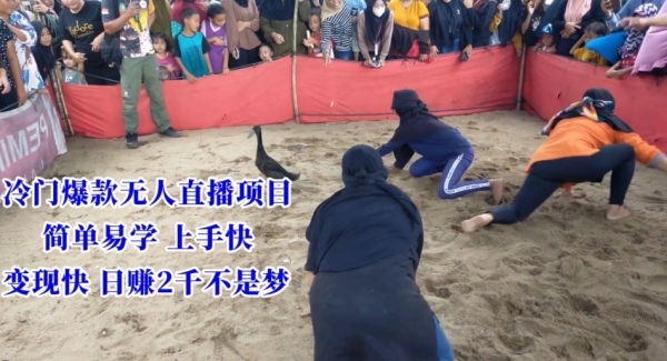 图片[1]|冷门爆款无人直播项目，简单易学上手快，变现快日赚2千不是梦【揭秘】|优聚轻创