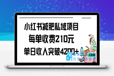 小红书减肥私域项目每单收费210元单日成交20单|优聚轻创