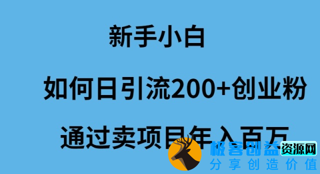 图片[1]|新手小白如何日吸200+创业粉丝_卖项目年入百万|优聚轻创
