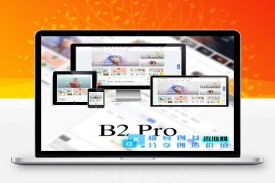 WordPress B2 Pro 主题5.2.0最新开心版,附带官方包体与授权文件|优聚轻创
