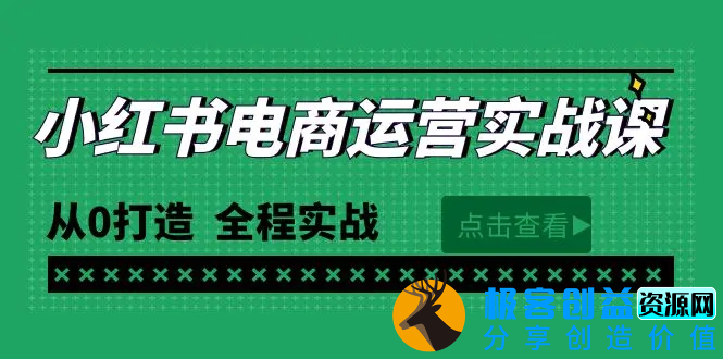 图片[1]|最新小红书·电商运营实战课，从0打造 全程实战（65节视频课）|优聚轻创