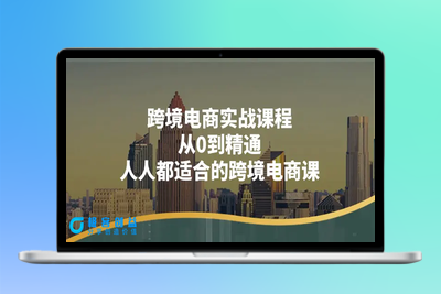 跨境电商实战课程：从0到精通，人人都适合的跨境电商课（14节课）|优聚轻创
