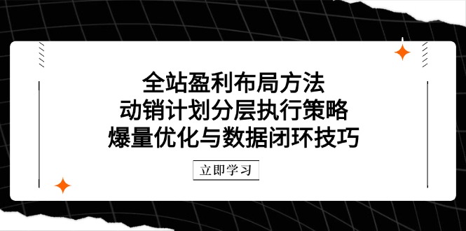 全站盈利布局方法：动销计划分层执行策略，爆量优化与数据闭环技巧|优聚轻创