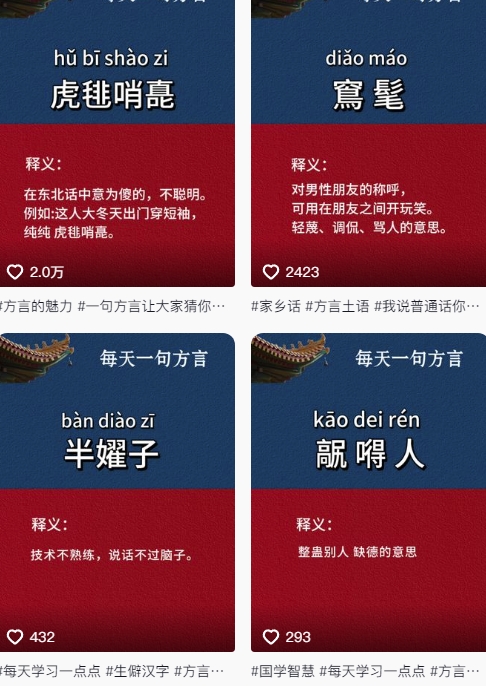 抖音最新涨粉玩法，图文方言暴力涨粉实操，126作品涨粉11W|优聚轻创