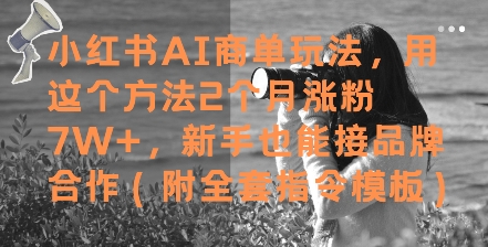 小红书AI商单玩法，用这个方法2个月涨粉7W+，新手也能接品牌合作(附全套指令模板)|优聚轻创