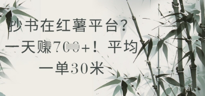 抄书在小红薯平台？平均一单30米，一天收益几张！|优聚轻创