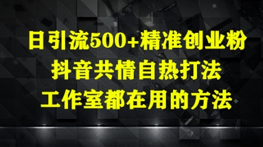 日引流500+精准创业粉，抖音共情自热打法，工作室都在用的方法|优聚轻创