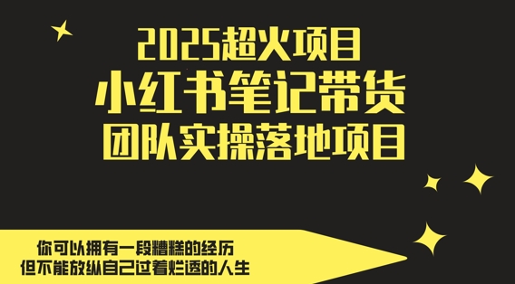 2025超火项目，副业最佳选择，小红书笔记带货团队实操落地项目，，轻松日入5张|优聚轻创