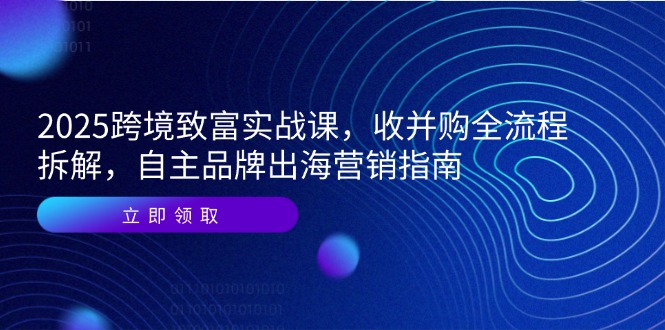 2025跨境致富实战课，收并购全流程拆解，自主品牌出海营销指南|优聚轻创