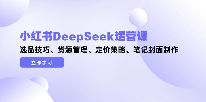 小红书DeepSeek运营课，选品技巧、货源管理、定价策略、笔记封面制作|优聚轻创