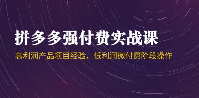 拼多多强付费实战课-44期，高利润产品项目经验，低利润微付费阶段操作|优聚轻创