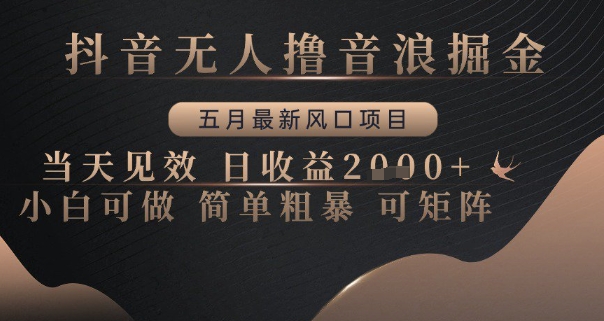 抖音无人撸音浪掘金，五月最新风口项目，当天见效，日收益多张，小白可做简单粗暴可矩阵【揭秘】|优聚轻创