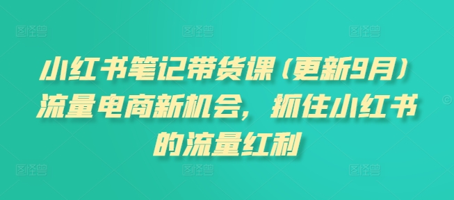 小红书笔记带货课(更新25年5月)流量电商新机会，抓住小红书的流量红利|优聚轻创