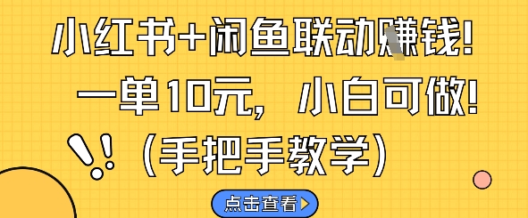 小红书+闲鱼联动挣钱，一单10元，小白可做|优聚轻创