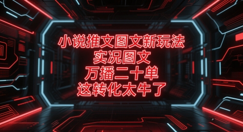 小说推文图文新玩法，实况图文，万播二十单，这转化太牛了！|优聚轻创