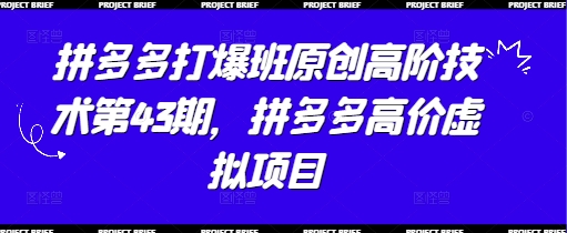 拼多多打爆班原创高阶技术第43期，拼多多高价虚拟项目|优聚轻创