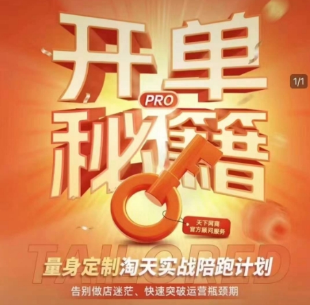 淘宝开单秘籍PRO，量身定制淘天实战陪跑计划，告别做店迷茫、快速突破运营瓶颈期(更新)|优聚轻创
