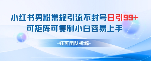 小红书男粉常规引流不封号日引99+变现简单 可矩阵可复制小白容易上手|优聚轻创