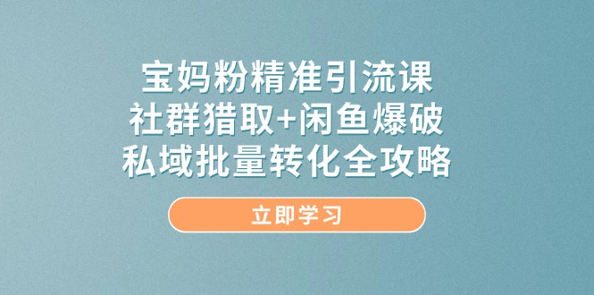 宝妈粉精准引流课，社群猎取+闲鱼爆破，私域批量转化全攻略|优聚轻创