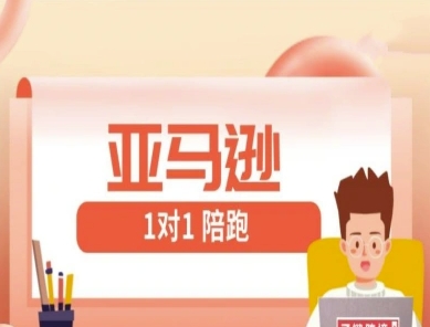 亚马逊1对1陪跑课(FBA/FBM精铺)跨境亚马逊教程|优聚轻创