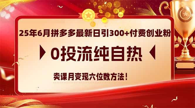 25年6月拼多多最新日引300+付费创业粉，0投流纯自热 卖课月变现六位数方法|优聚轻创